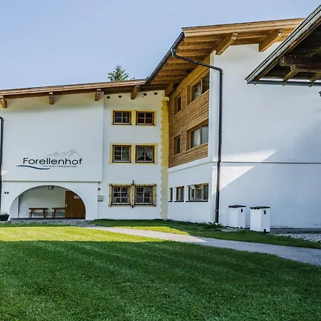 In Near Skiwelt Slopes, Cleaning Included