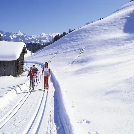 In Near Skiwelt Slopes, Cleaning Included